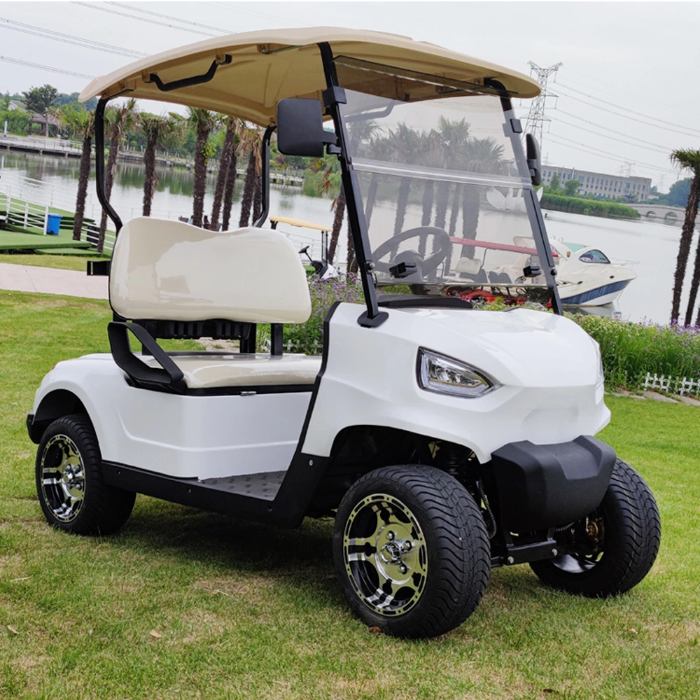 Factory Direct Sales 4000W Electrical Car Folding Electric Golf Carts 2 Seat White Electric Scooter