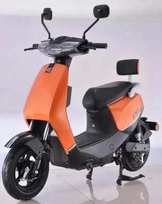 Saige 800W Pedal Assist 48V 60V Batteria al piombo o batteria al litio Scooter elettrico di piccola moda con schermo LED