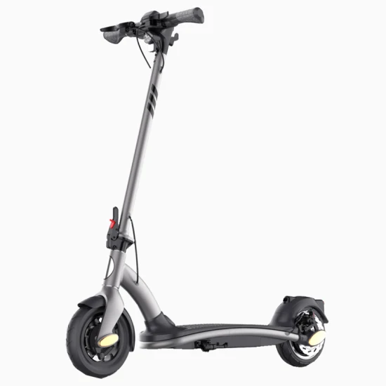 Scooter elettrico a due ruote Smart Off Road Scooter modello E-Scooter per adulti