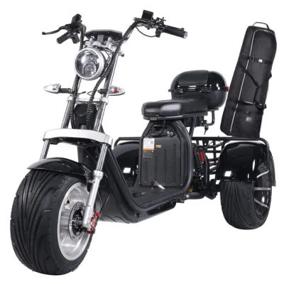 Scooter elettrico da golf a tre ruote elettrico nero da 40-60 km/h, carico massimo 200 kg