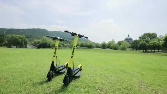 Flymate, scooter elettrico giallo e nero di buona qualità, elegante, prezzo scooter elettrico, scooter elettrico per adulti