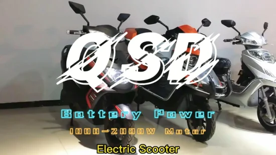 Scooter elettrico alimentato a batteria per auto elettrica da 48 Volt 1000 Watt 2 ruote per uso personale adulto