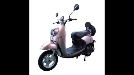 Vimode Potente Bici a Due Ruote Best Wishes 60 Volt 45 Km/h Ciclomotore City Smart Moto Elettrica con Sedile 2000 Watt E-Scooter