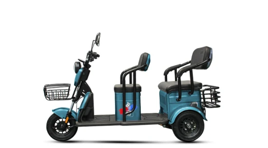 2023 Vendita diretta in fabbrica Etrike elettrico per adulti Triciclo da carico elettrico ricreativo con seggiolini per bambini Famiglia Uso quotidiano Shopping Triciclo elettrico Scooter