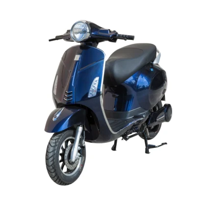 Scooter elettrico da 1000 W di qualità affidabile con telaio in tubo di ferro Blue City Scooter