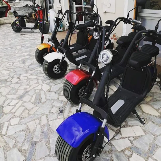 Scooter elettrico Citycoco EEC Coc 1500W 2000W 60V 12ah 20ah Batteria al litio Scooter elettrico per mobilità Scooter elettrico per adulti a due ruote Scorte UE