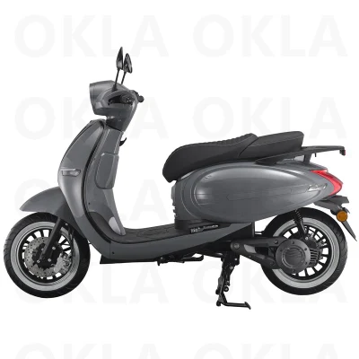 Scooter elettrico semplice e veloce per adulti Ebike grigio