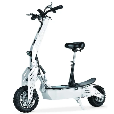 Nuovo scooter elettrico al litio con motore doppio mozzo da 2000 W 48 V 20 Ah