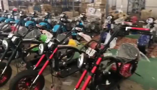 Buon scooter elettrico, non pieghevole e tensione 60 V, 1200 watt, scooter elettrico Citycoco, due posti