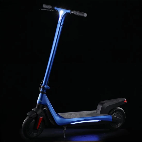 Fornitori Clienti Germania Scooter elettrico a 2 ruote per adulti