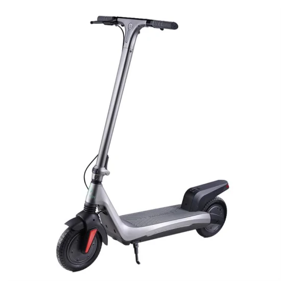 Scooter elettrico per adulti con batteria al litio veloce a 2 motori