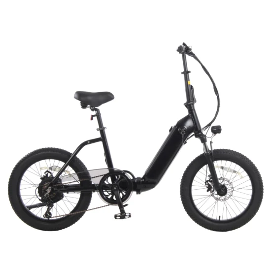 Vendita di fabbrica Fornitore cinese 20 pollici * 3.0 500 W 48 V 12,8 Ah Mini bici elettrica per pneumatici grassi a sospensione completa per adulti